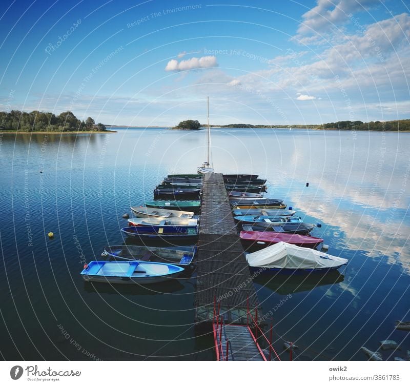 Boat dock evening Jetty Harbour Sailboat Yacht Sport boats Inland navigation Navigation Lake Island Bay Lakeside Beautiful weather Weather Horizon Clouds Sky