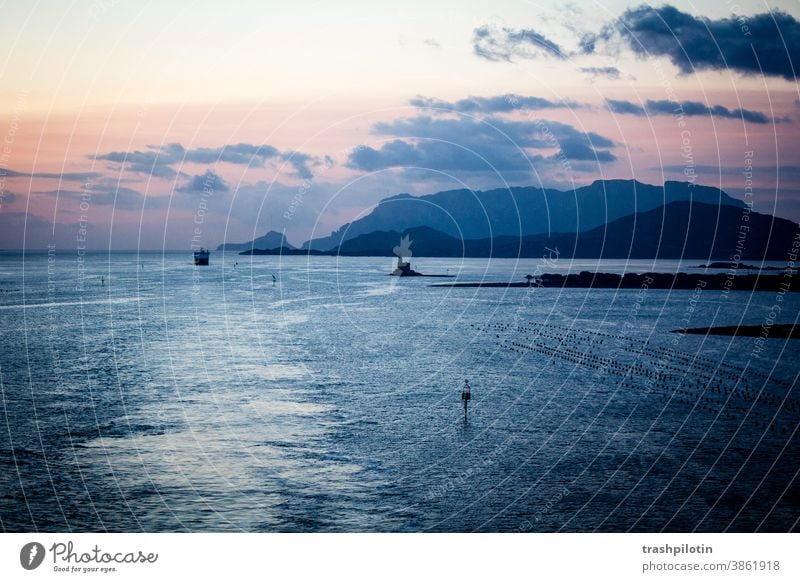 Sunrise before Sardinia Ocean seascape Sunrise - Dawn mountains Navigation Cruise AIDA Pink Sky blue Vacation & Travel Water Deserted Exterior shot Horizon