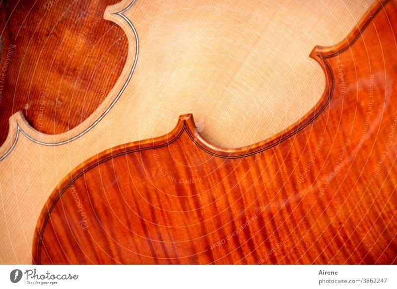 colour combination | philharmonic Violin violin making Musical instrument Wood Precious wood Sound Ornament Harmonious sound body Spirited harmony Curved