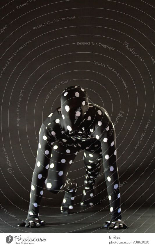 androgynous person in a dotted morph suite costume Climbing take off Body tension Human being Morph Suite spiderman Action points Costume supernatural Anonymous