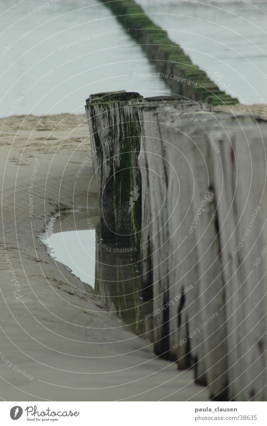 beach Beach Ocean Wood Pole Puddle Low tide Water Netherlands Sand High tide