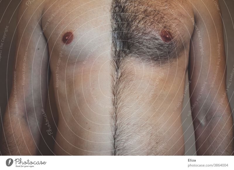 Male breast, one half shaved and the other half hairy. Shave Hair Man Chest Indecisive Half Shaving body hair Personal hygiene Masculine masculine chest hair