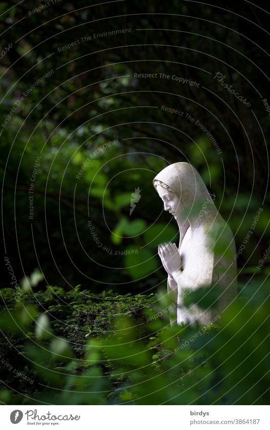 Praying Mary. Statue of Mary surrounded by plants on a cemetery Virgin Mary Christianity praying Cemetery Death Religion and faith Prayer Grief Green plants