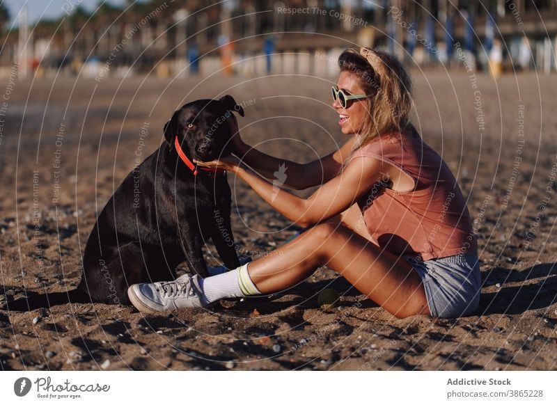 Woman with cute dog on beach woman sunset carefree stroke together seashore friendship labrador retriever female adorable black animal pet young rest nature