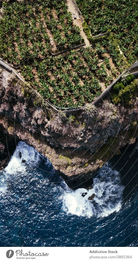 Sea waves crashing against rocky cliff sea coast splash foam power ocean nature tropical water landscape energy rough scenic picturesque shore seascape