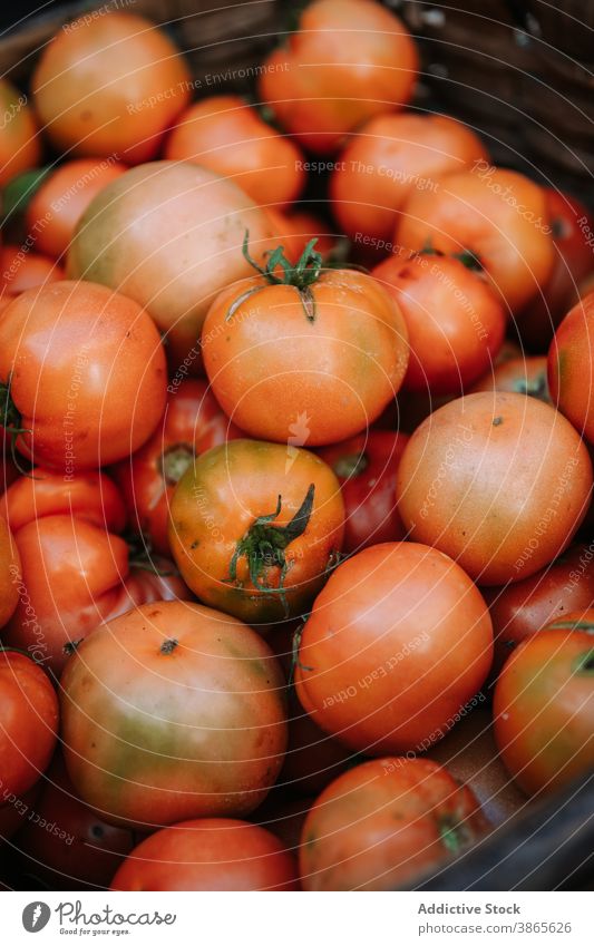 Basket with organic bio red tomatoes vegetable fresh natural food market harvest bunch vegetarian ingredient vegan healthy ripe grocery meal plant raw