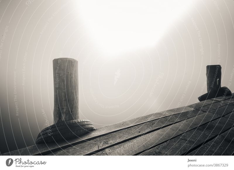 Foggy morning on a wooden jetty by the lake Lake Water foggy Calm Bollard Wood Footbridge Dawn Sky Idyll Moody Sunlight Light idyllically Contrast Sunbeam