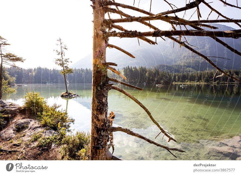 Sunrise at Hintersee in Berchtesgardener Land II Sunrise - Dawn Experiencing nature Miracle of Nature nature conservation Vacation & Travel Tourism Mountain