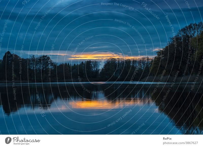 Sunset at a quiet lake. Autumn Lake Forest Edge of the forest autumn bush shrubby wood Nature Habitat nature conservation Environment Environmental protection