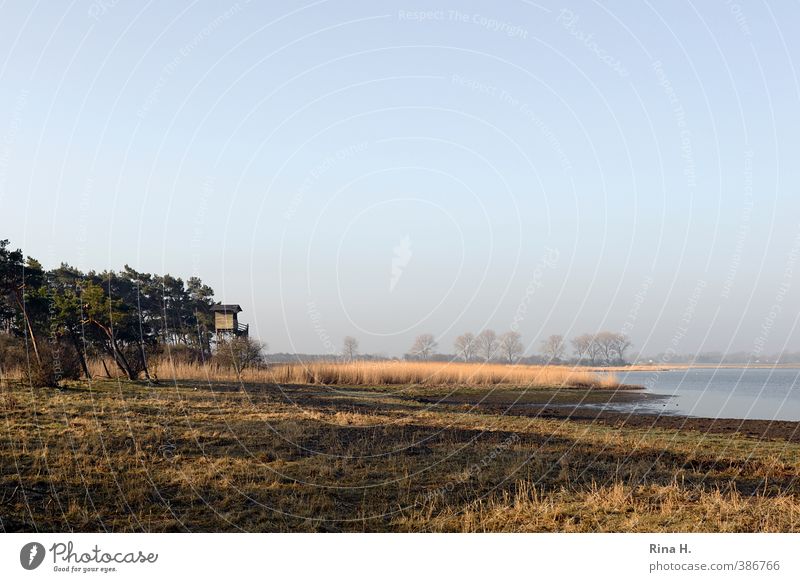 raised hide Environment Landscape Plant Cloudless sky Horizon Spring Beautiful weather Tree Grass Coast Boddenlandscape NP Rügen Observe Natural Calm