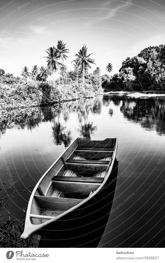 standstill Shadow Black & white photo Sunlight Contrast Light Day Colour photo Malaya Asia Exotic Tree Clouds Adventure Trip Gorgeous Evening Tourism