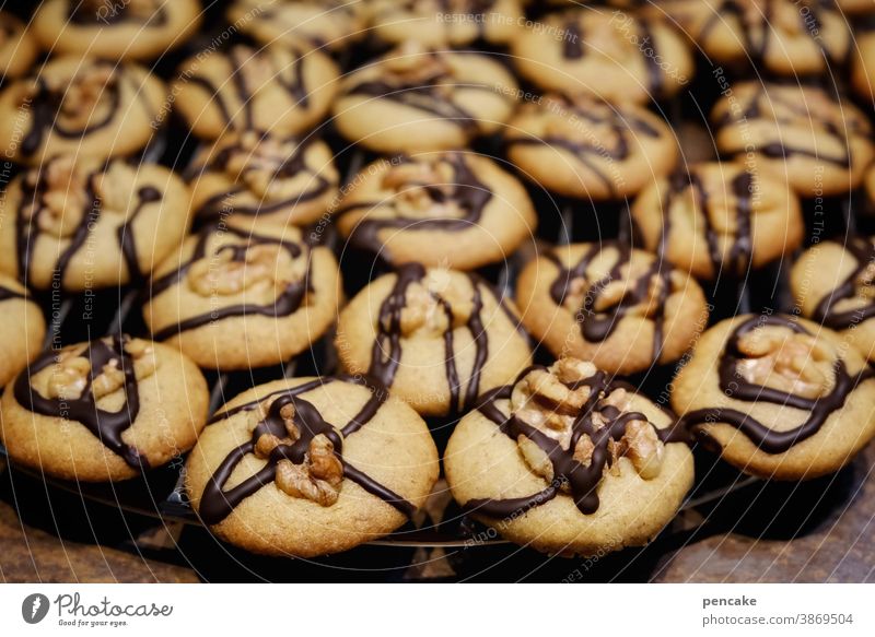 walnut cookies biscuits Walnuts Chocolate cute Delicious Christmas & Advent Baking Candy Cookie Christmas biscuit Close-up Shallow depth of field Food