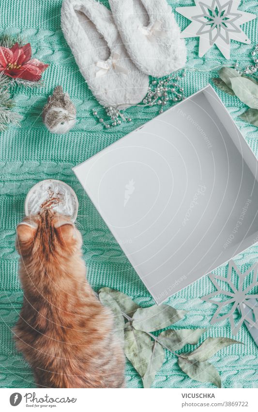 Winter and Christmas lifestyle.  Empty white box on light blue knitted blanket with ginger cat,  cup of cappuccino , cozy slippers and snowflakes . Top view