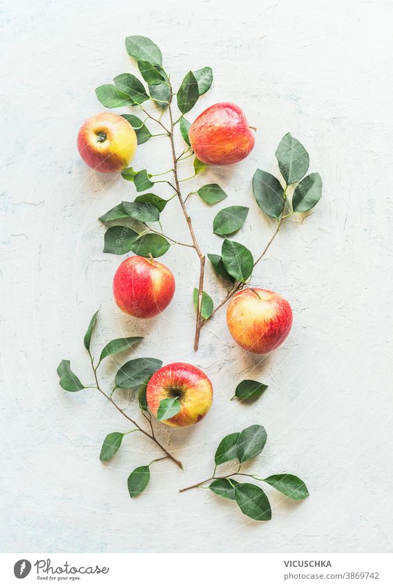 Apples and apple tree twigs with green leaves pattern on white background. Top view apples top view sweet flat table layout freshness ripe group raw lifestyle