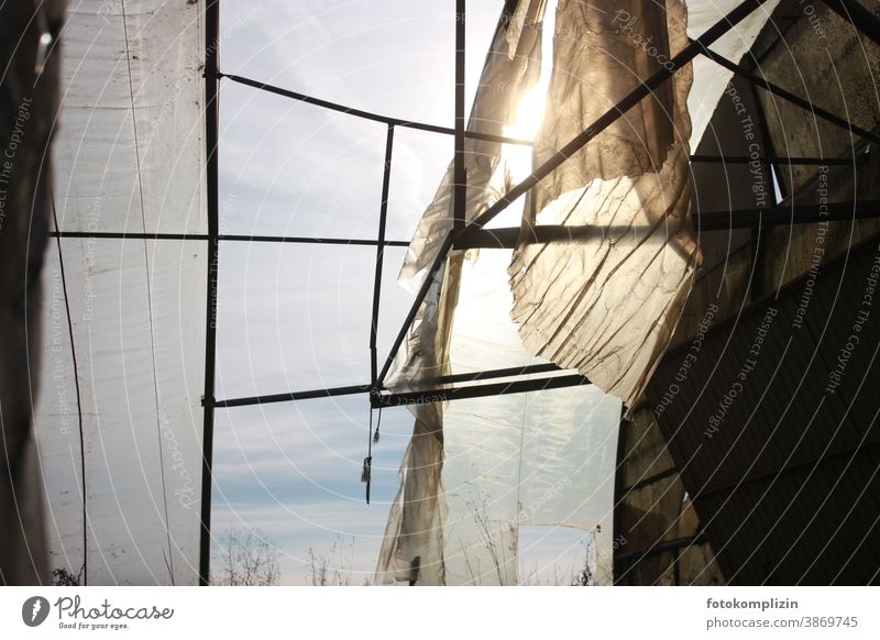 light and wind permeable greenhouse out inside Destruction View from a window Window outlook piece of sky penned Decline Greenhouse Captured silent