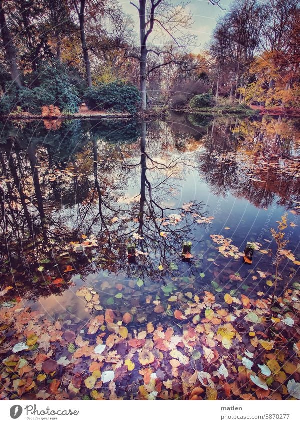 Autumn at the lake leaves foliage Lake Autumnal colours Tree Deserted Exterior shot Reflection Sky Beautiful weather Berlin Berlin zoo mobile