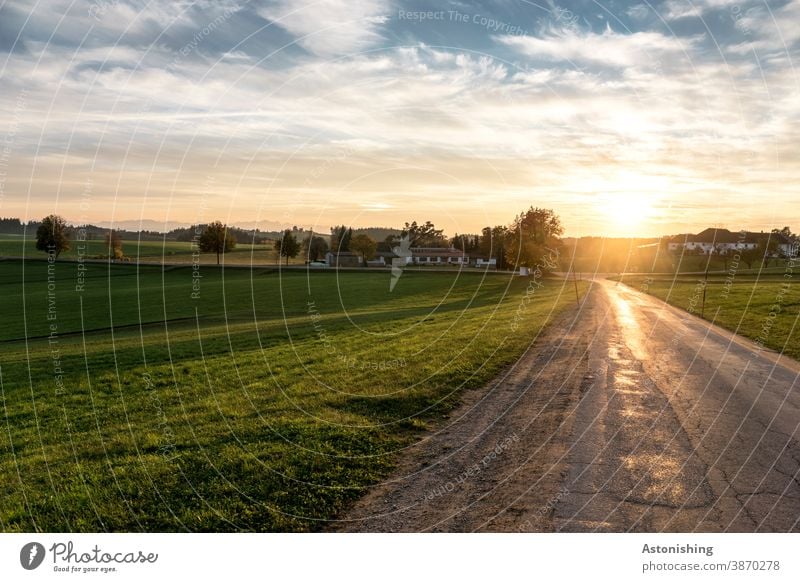 Evening light landscape Landscape Street Meadow Nature Twilight Back-light mill district Sun Sunlight Vantage point Alps mountains Sky Horizon country trees