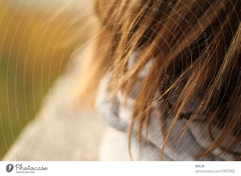 Sun-reflexed and relaxed already Personal hygiene Meditation Feminine Child girl Infancy Head Hair and hairstyles 1 Human being Summer Autumn Beautiful weather