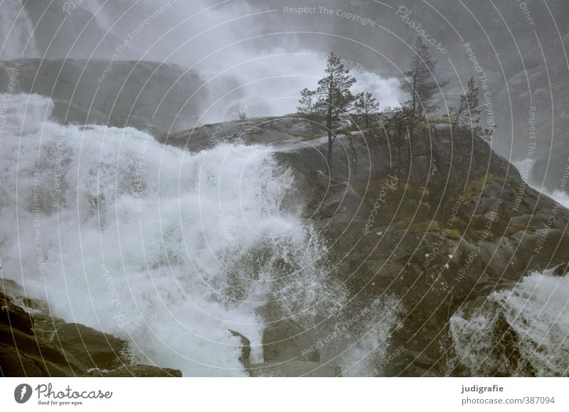 Norway Environment Nature Landscape Plant Water Tree Rock Waterfall Låtefossen Dark Wet Natural Wild Moody Climate Flow Hissing White crest Colour photo