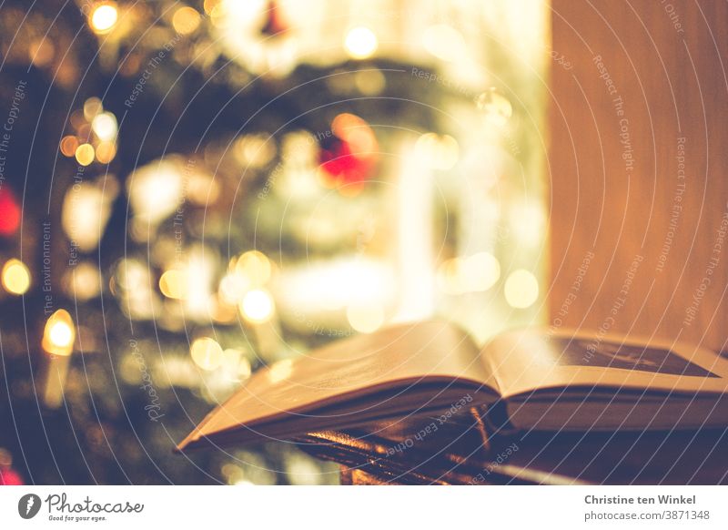 Christmas reading...  An opened book is lying on a chest of drawers, in the background you can see the decorated Christmas tree and a window in the back light