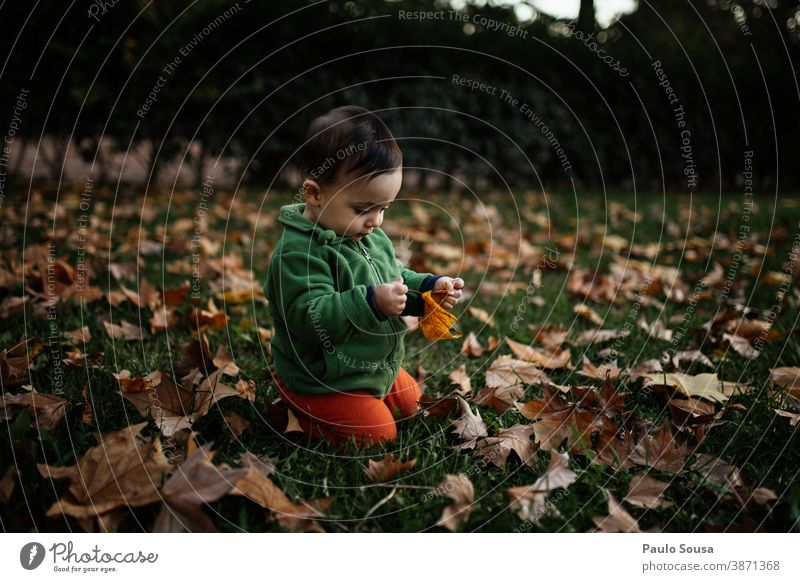 Toddler playing at playground with autumn leaves 0-09 years Lifestyle affectionate authentic caring casual caucasian child color curiosity day enjoyment