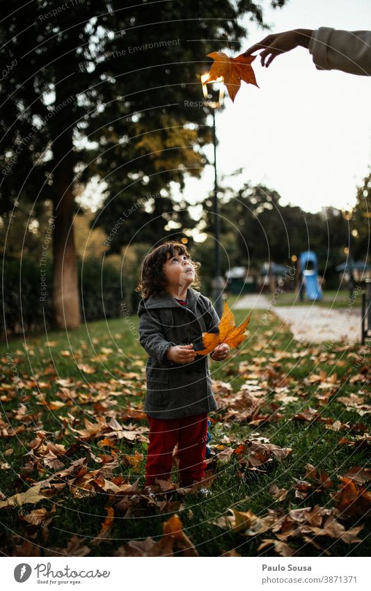 Child playing with autumn leaves 0-09 years Lifestyle affectionate authentic caring casual caucasian child color curiosity curly hair daughter day enjoyment