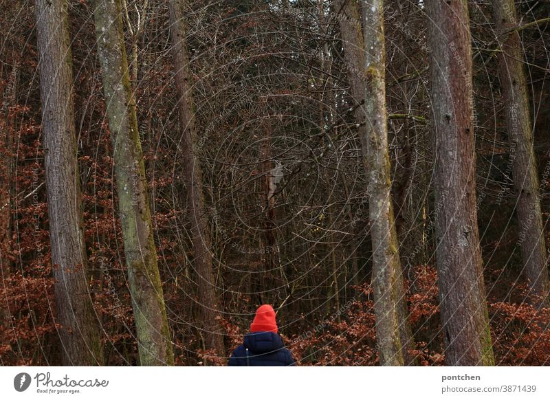 A woman in a bright red cap and winter coat is standing in the forest Cap Red Forest trees Autumn Winter winter clothes Coat foliage leaves Relaxation Oxygen