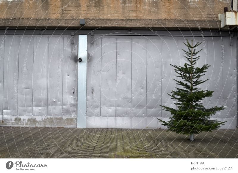 unadorned christmas tree in front of old warehouse - sad christmas Christmas tree Poverty Sadness Loneliness Disappointment Exhaustion Exceptional Tree