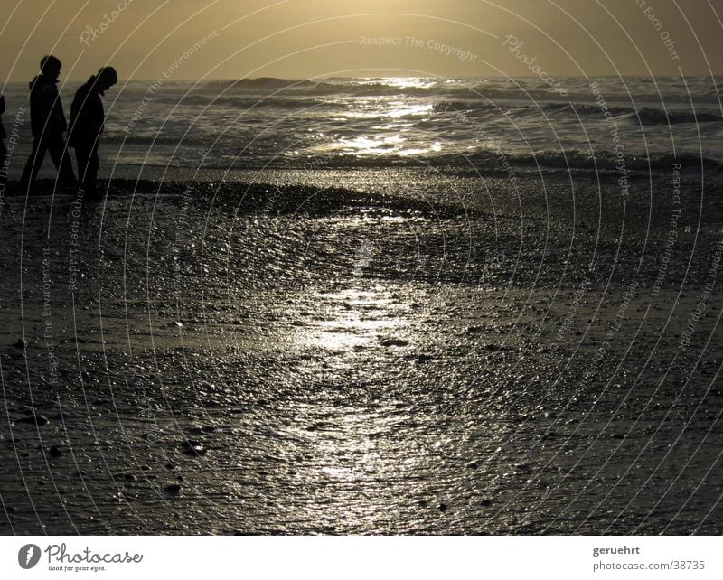 horizon in gold Tide Waves Coast Beach Sunset Reflection Silhouette 2 Child Boy (child) North Sea High tide Stone Observe Looking