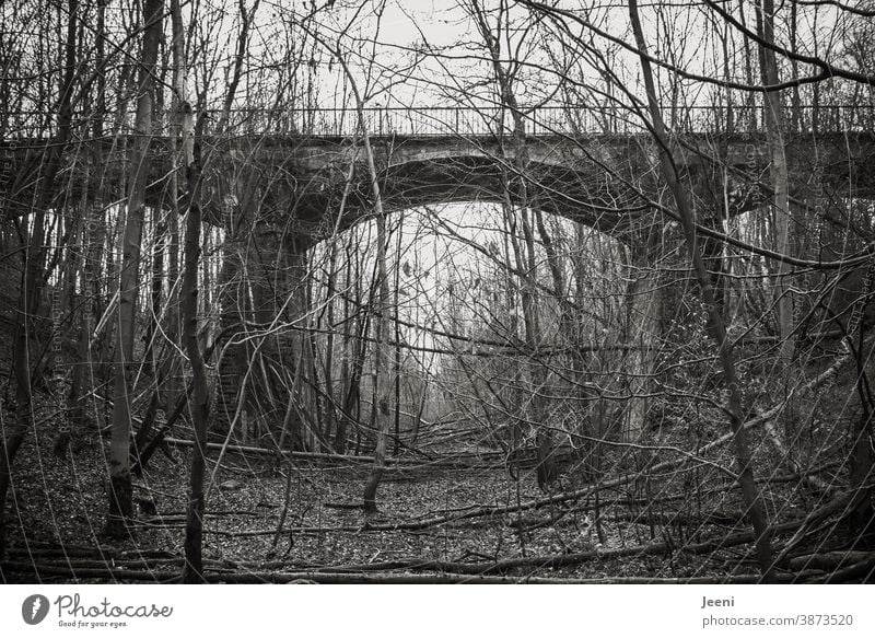 Old railway bridge in the forest - deserted place, overgrown with trees and bushes Bridge Railway bridge railway tracks Forest Deserted forsake sb./sth. Bushes