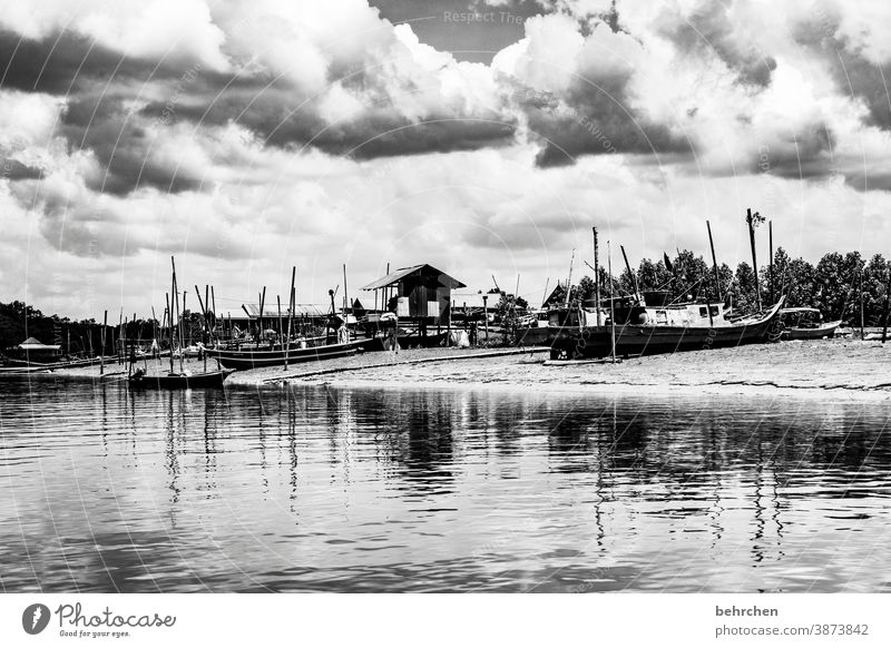 fisher Exterior shot Authentic Wanderlust Idyll Sarawak Bako National Park Malaya Borneo Fantastic Exceptional Exotic Fishing boat Hut Fishing village Village