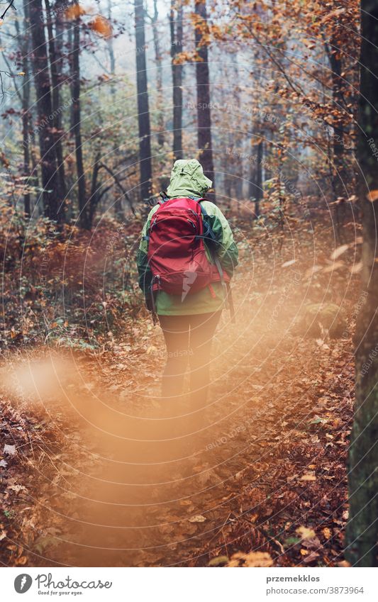 Woman with backpack wandering around a forest on autumn cold day active activity adventure backpacker destination enjoy exploration explore fall female green