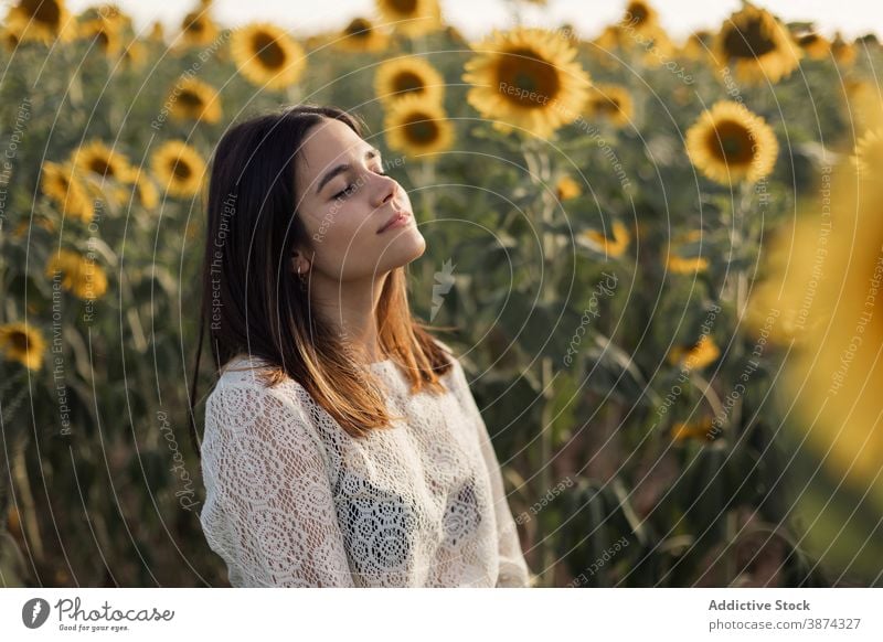 Graceful woman in sunflower field enjoy nature grace carefree tranquil summer female meadow bloom relax calm eyes closed peaceful harmony freedom blossom serene