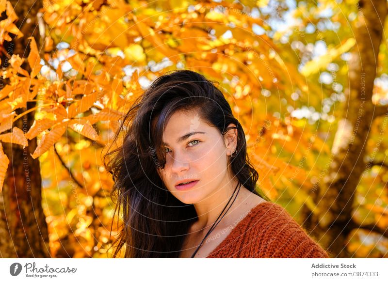 Sensual woman standing in autumn forest foliage serious enjoy fall leaf tree thoughtful young female nature season relax melancholic lifestyle park beautiful