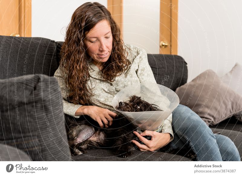 Cheerful woman with dog in pet cone at home elizabethan collar owner cone of shame together animal friend lying bed floor cozy room cute canine friendship