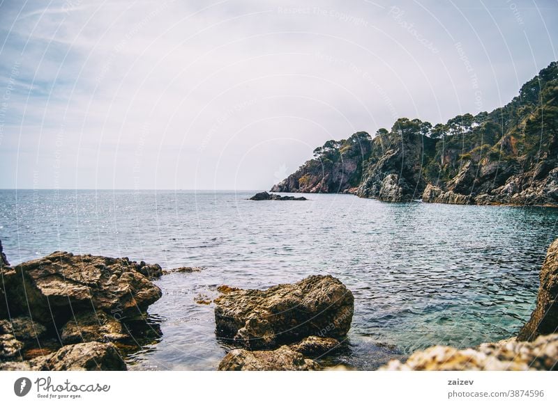 An abrupt rocky cliff full of trees in the mediterranean sea costa brava calella de palafrugell palamós landscape water catalonia views breakwater boulder rocks