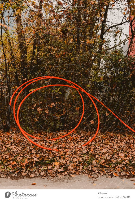 Bright red cable duct in industrial area Cable Red Gaudy colored variegated leaves Autumn autumn colours Nature Landscape Bushes Industry Industrial area