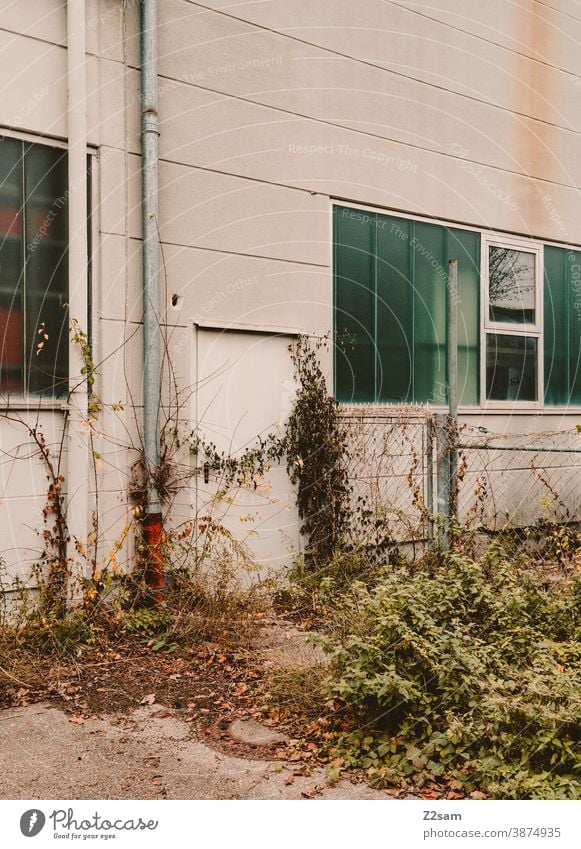 Overgrown driveway in an industrial area Industry Architecture Industrial hall Industrial area Goal Hall Factory Factory hall lines minimalism Concrete Lonely