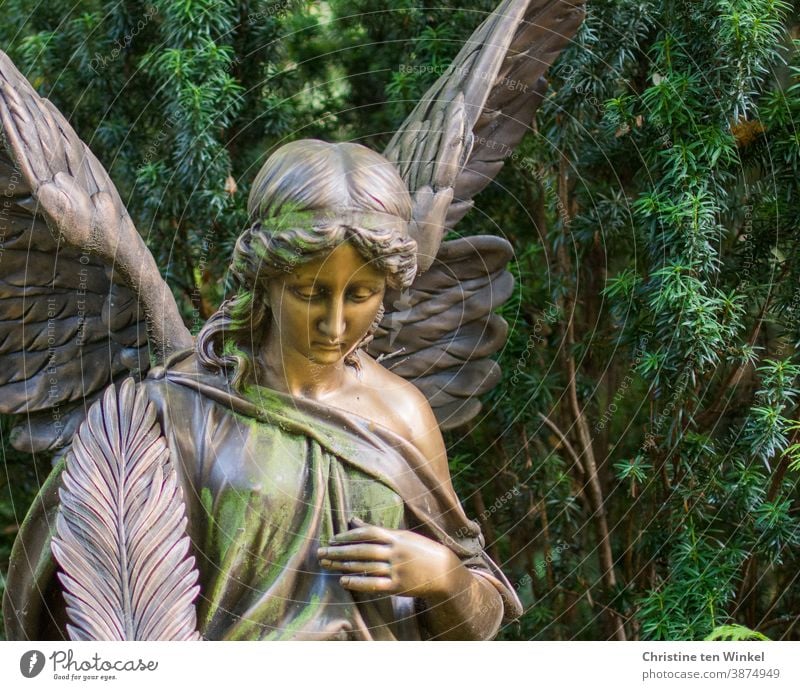 Sad angel on a cemetery in front of the green of a yew tree Angel Statue Cemetery sad silent commemoration Grief Sadness Death Religion and faith Peace