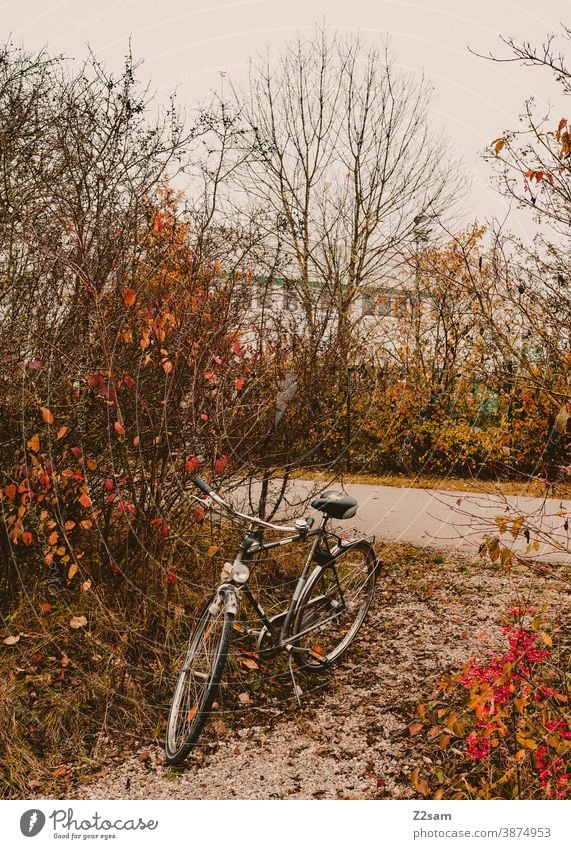 Lonely bicycle in autumn landscape Bicycle Autumn Autumnal landscape Wheel Parking switch off men's bicycle sustainability Sustainability Means of transport