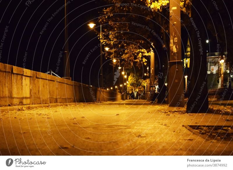 Waterfront promenade in Budapest bank Promenade Night lanterns Worm's-eye view Lanes & trails Light Street Dark Long exposure Lantern Lamp Street lighting