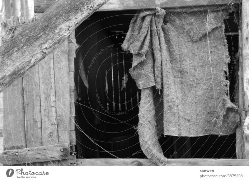 View into a wooden hut forest hut Loneliness old ceiling broken window Wooden hut Hut Wooden window Shutter darkness