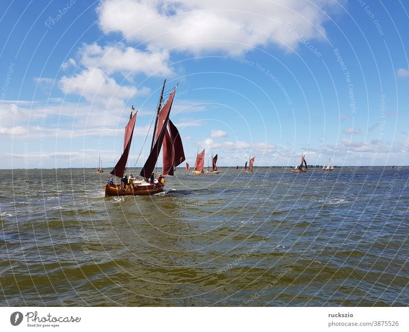 Zeesboot Regatta on the Bodstedter Bodden.  Bodstedter Bodden is a part of the Darß-Zingster Bodden chain as well as the National Park Vorpommersche Boddenlandschaft.