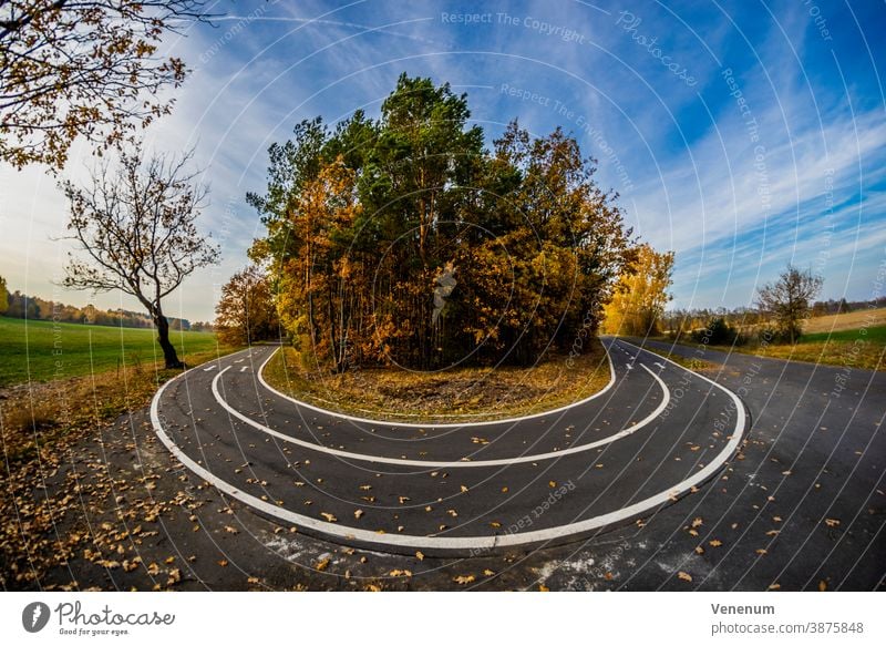 Bike path in the autumn Way Light Shadow tree trees Season Germany afternoon cycleway bike lane bike path cycle track sky leave leaves