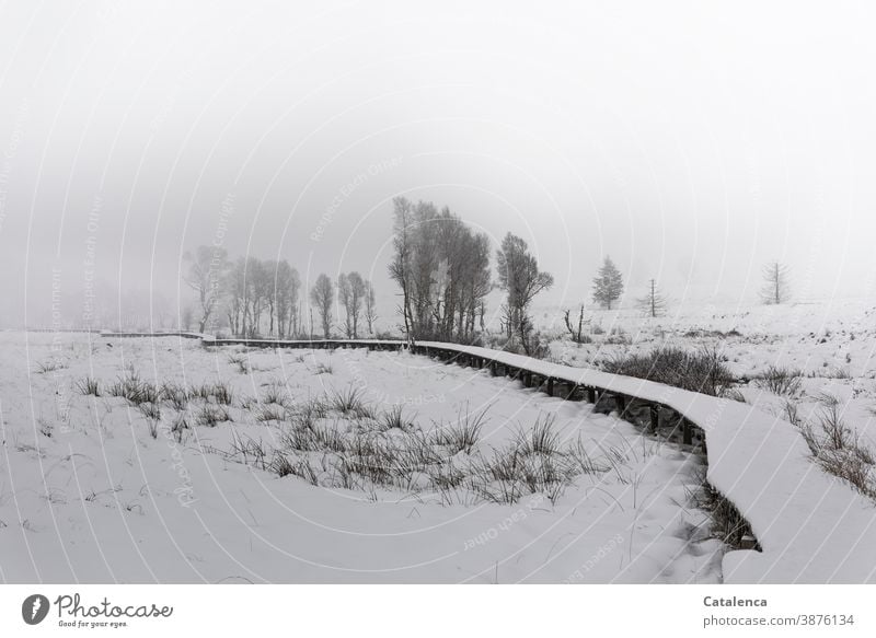 On a snowy, foggy morning on the moors Nature Landscape Fen wooden walkway Snow Fog trees Bushes grasses Winter Cold Lonely Hiking Trip Sky silent Plant dormant