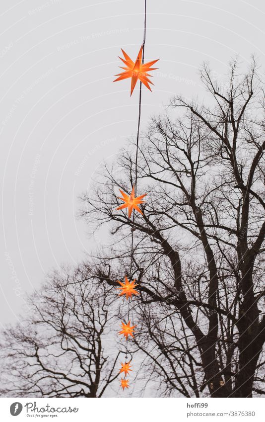 Fairy lights as Christmas illumination in the dreary grey of a December day Stars Christmas & Advent Christmas decoration Gray Christmas star Decoration Gold