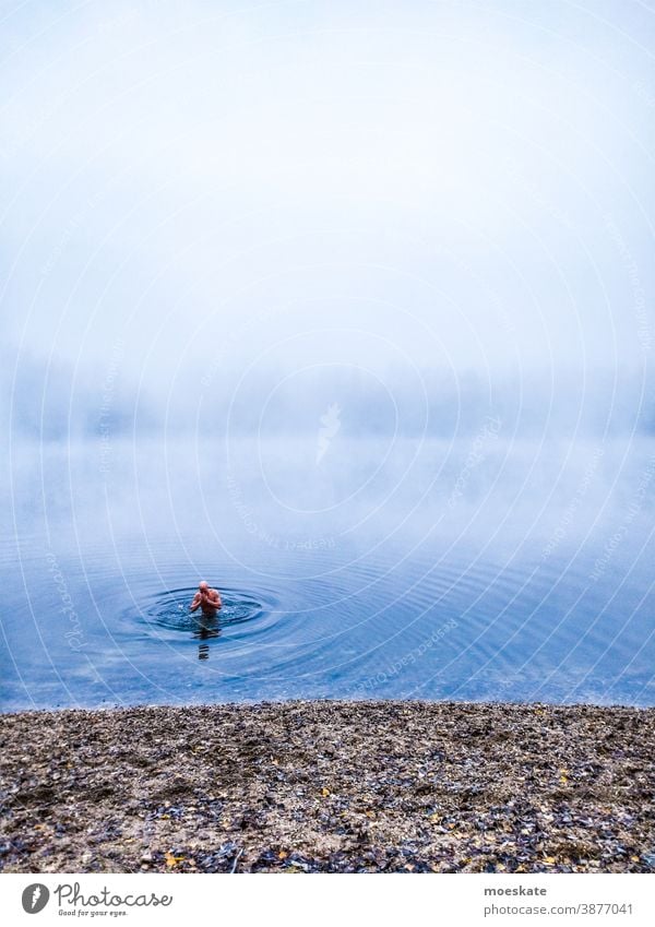 ice bathing Ice Cold Ice bathing bathe Winter Lake Frost chill freezing cold cooling hardening Healthy Wellness Water Exterior shot blue Blue Nature