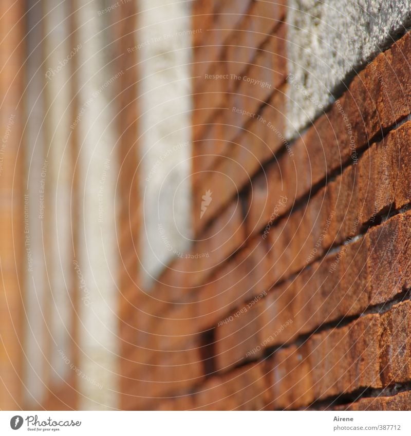 fleeing facade Bad Reichenhall Town Old town Deserted Wall (barrier) Wall (building) Facade Window Brick Brick red Brick construction Brick facade