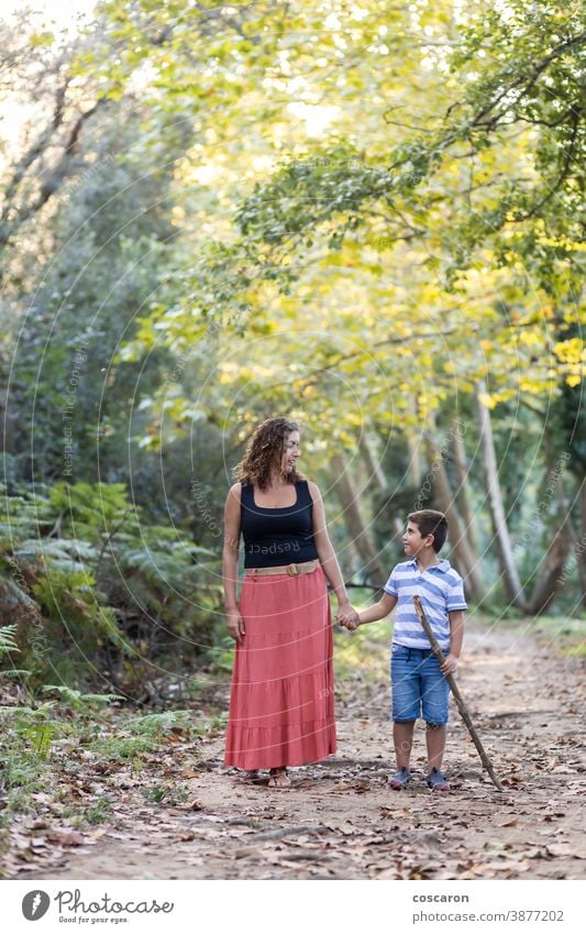 Woman and kid walking through the woods adventure backpack boy caucasian child childhood children family forest hand happiness happy hike hiker hiking holiday