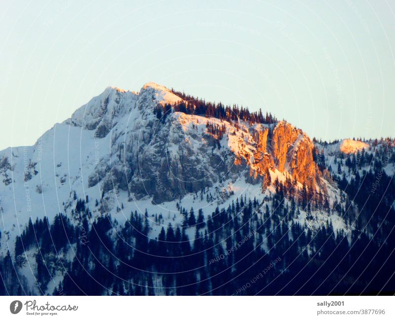 the last rays of sunshine of the day... camping wall Chiemgau Chiemgau Alps Upper Bavaria Mountain Winter Snow Sunset alpenglow Peak Landscape Nature